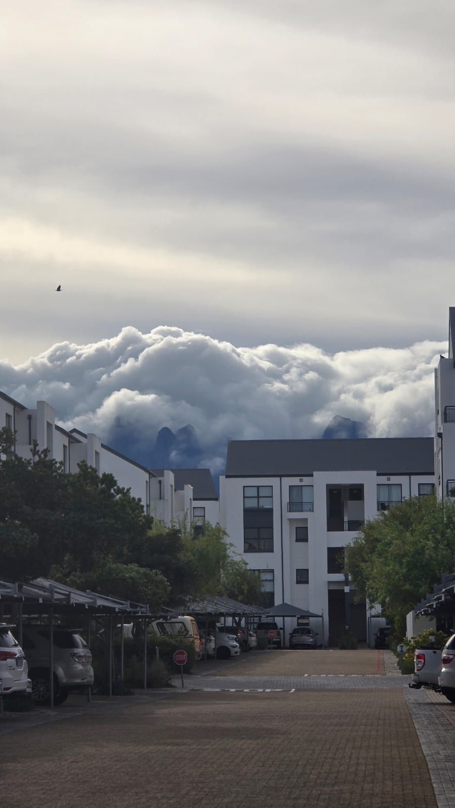 To Let 2 Bedroom Property for Rent in De Velde Western Cape